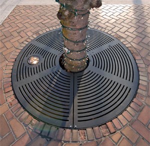 Tree Grates