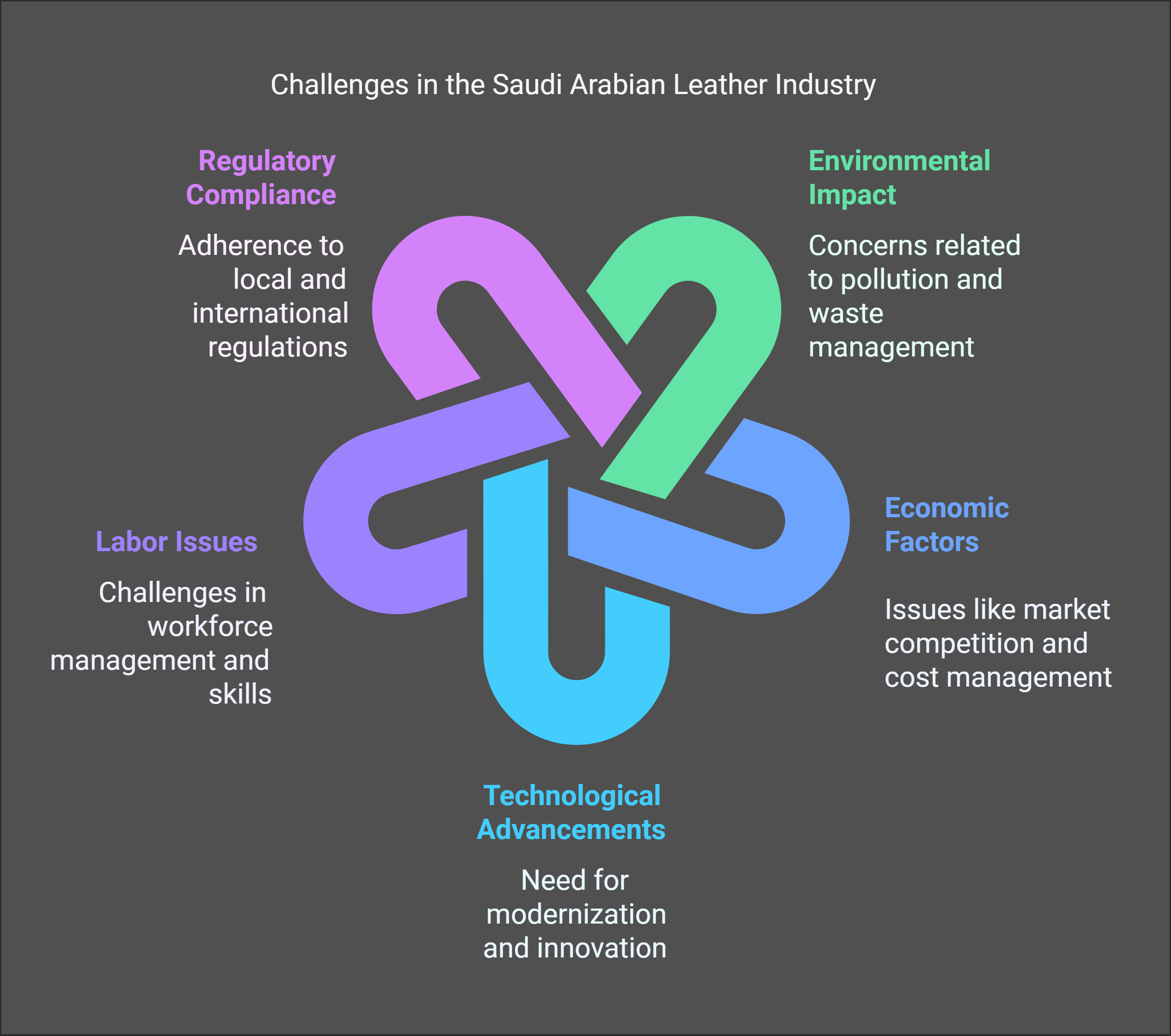 What are the key challenges faced by the leather industry in Saudi Arabia